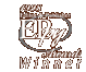 1998 Editor and Publisher EPpy Awards Winner